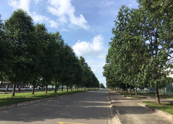 CHI Nguồn Tác giả Phụ lục 20 ẢNH MỘT SỐ KHU CÔNG NGHIỆP TẠI HUYỆN CỦ CHI 19