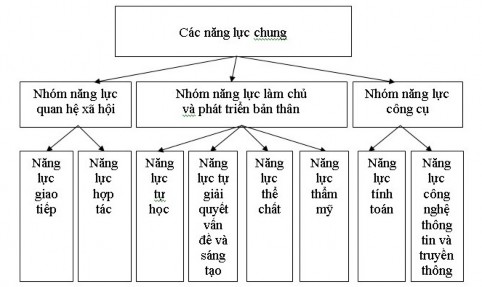 Sơ đồ 1 1 Các năng lực chung Muốn hoạt động có kết quả và hiệu quả cao 1