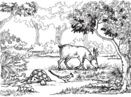 Tranh vẽ cảnh gì Các con vật này đang làm gì Em thử đoán xem các con vật 2