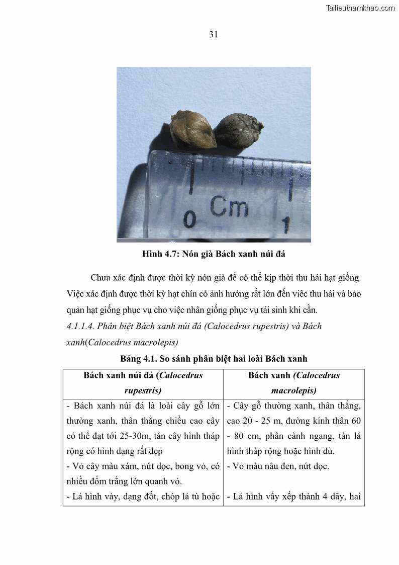 Luận văn thạc sĩ khoa học lâm nghiệp Nghiên cứu đặc điểm lâm học làm cơ sở khoa học bảo tồn loài Bách xanh núi đá Calocedrus rupestris Aver. H. Nguyen & L.K.Phan tại KBTTN Chạm Chu tỉnh Tuyên Quang - 4 Trang 37