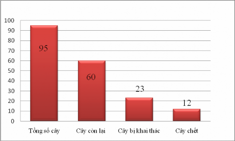 Hình 4 17 Biểu đồ Bách xanh có đường kính D1 3 65cm Nguyên nhân dẫn 2