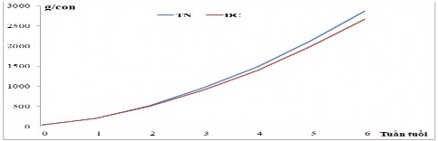 Hình 3 1 Đồ thị sinh trưởng tích luỹ của gà thí nghiệm 1 qua các tuần tuổi 1