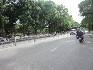 Hình 4 5 Đường Quang Trung Nguồn Tác giả Hình 4 6 Cây xanh bị nghiêng trên 3