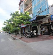 Hình 4 8 Một số ảnh hưởng đến sự phát triển của cây trên đường Lý Bôn 2