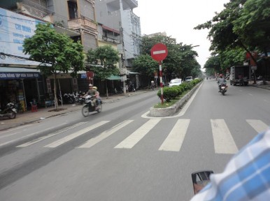 Hình 4 9 Đường Lý Thường Kiệt Nguồn Tác giả Bảng 4 9 Hiện trạng cây 4