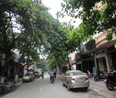 Hình 4 11 Đường Phố Trần Hưng Đạo Nguồn Tác giả Đoạn đầu đường 8