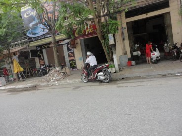 Hình 4 12 Cây xanh bị xâm hại bởi con người tại đường Trần Hưng Đạo 9