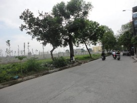 Hình 4 14 Cây xanh còn thiếu trên đường Lê Đại Hành Hình 4 15 Không gian sống 2