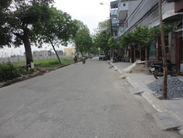 Hình 4 14 Cây xanh còn thiếu trên đường Lê Đại Hành Hình 4 15 Không gian sống 3