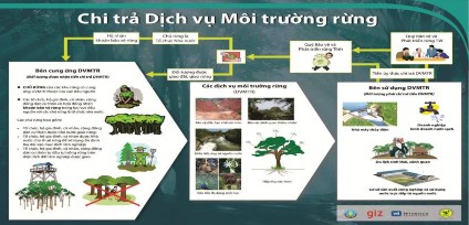 Hình 1 1 Chi trả dịch vụ môi trường rừng ở Việt Nam 1
