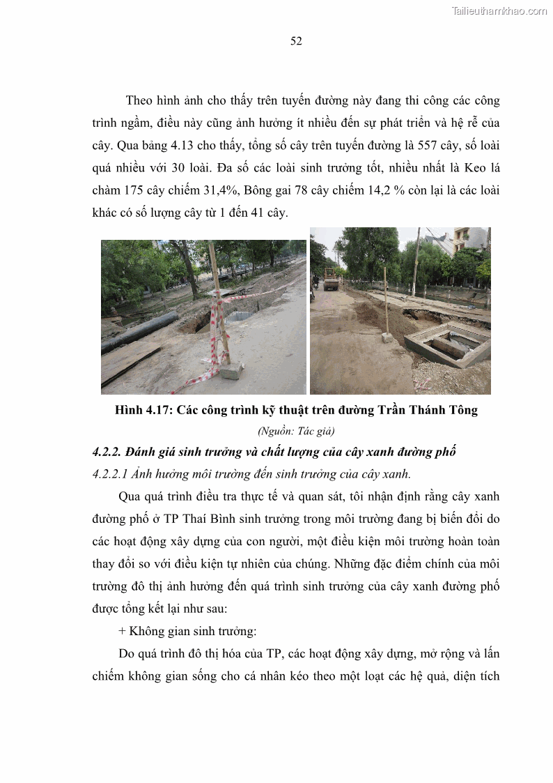 Luận văn thạc sĩ khoa học lâm nghiệp Đánh giá hiện trạng và đề xuất giải pháp phát triển cây đường phố cho thành phố Thái Bình - 6 Trang 61