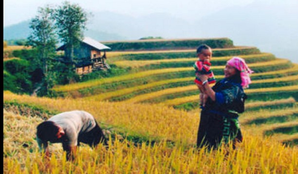 Ngày mùa ở Chế Cu Nha – Mù Cang Chải – Yên Bái Lễ hội đua ngựa ở Mù Cang 2