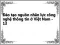 Đào tạo nguồn nhân lực công nghệ thông tin ở Việt Nam - 13