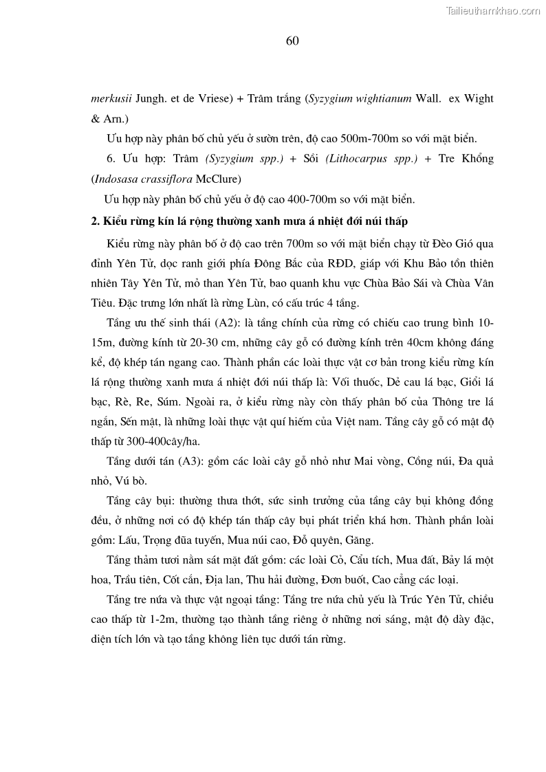 Luận văn thạc sĩ khoa học lâm nghiệp Đánh giá tính đa dạng thực vật ở rừng đặc dụng Yên Tử - Quảng Ninh - 6 Trang 61