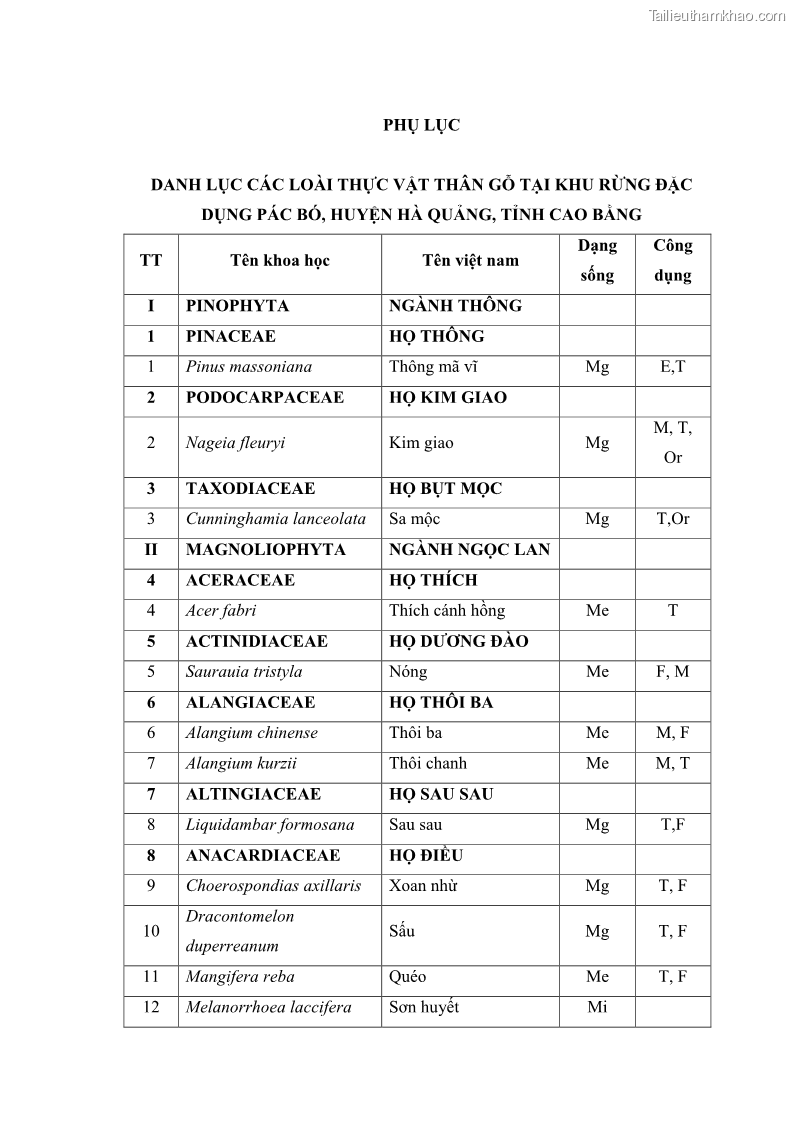 Luận văn thạc sĩ lâm học Nghiên cứu đa dạng thực vật thân gỗ khu vực rừng đặc dụng Pác Bó, huyện Hà Quảng, tỉnh Cao Bằng - 6 Trang 61