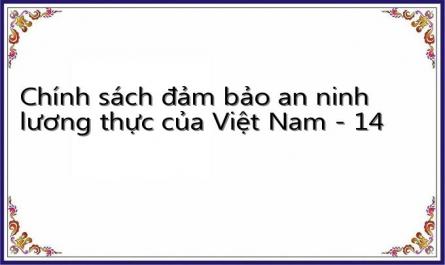 Chính sách đảm bảo an ninh lương thực của Việt Nam - 14