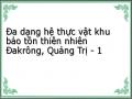 Đa dạng hệ thực vật khu bảo tồn thiên nhiên Đakrông, Quảng Trị - 1