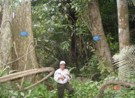 Thu hái mẫu ở ngoài thực địa Xử lý mẫu Trạng thái rừng thu mẫu 1