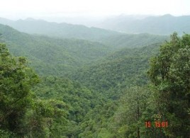 Trạng thái rừng thu mẫu 12