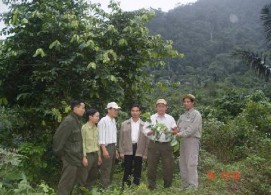 Thu hái mẫu ở ngoài thực địa Xử lý mẫu Trạng thái rừng thu mẫu 2