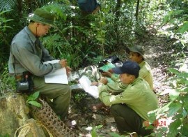 Thu hái mẫu ở ngoài thực địa Xử lý mẫu Trạng thái rừng thu mẫu 3