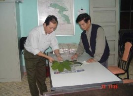 Xử lý mẫu Trạng thái rừng thu mẫu 7