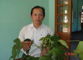 Xử lý mẫu Trạng thái rừng thu mẫu 8