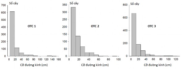 Hình 4 1 Phân bố số cây theo cấp đường kính ở 03 OTC nghiên cứu Phân bố số 1
