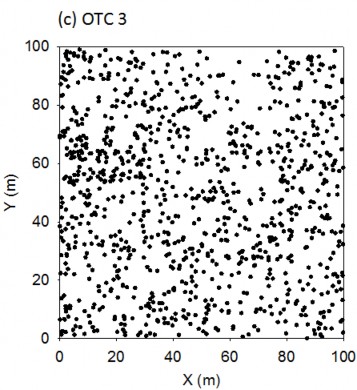 Hình 4 2 Phân bố của các cá thể cây trong 03 OTC nghiên cứu 4