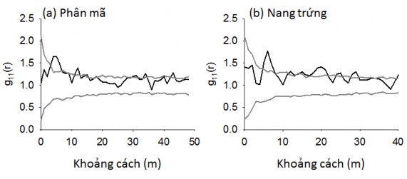 Hình 4 3 Phân bố không gian của các loài cây rừng chiếm ưu thế ở OTC 1 1