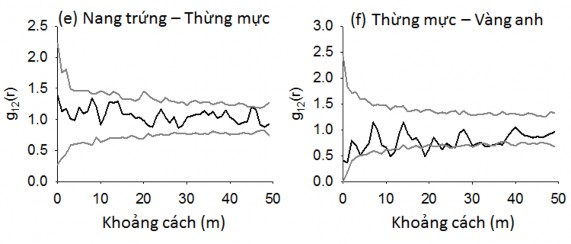 Hình 4 6 Quan hệ không gian của các loài cây rừng chiếm ưu thế ở OTC 1 được 10