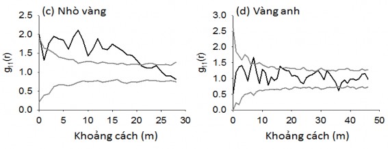 Hình 4 4 Phân bố không gian của các loài cây rừng chiếm ưu thế ở OTC 2 được 4