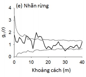 Hình 4 4 Phân bố không gian của các loài cây rừng chiếm ưu thế ở OTC 2 được 5
