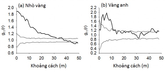 Hình 4 5 Phân bố không gian của các loài cây rừng chiếm ưu thế ở OTC 3 được 6