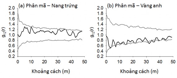 Hình 4 6 Quan hệ không gian của các loài cây rừng chiếm ưu thế ở OTC 1 được 8