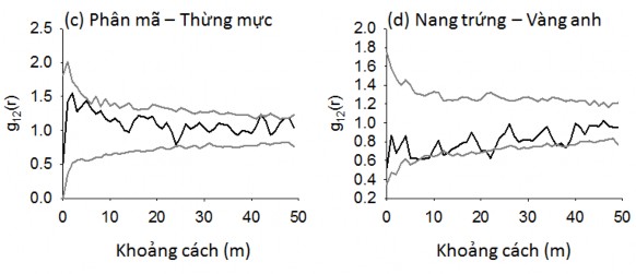 Hình 4 6 Quan hệ không gian của các loài cây rừng chiếm ưu thế ở OTC 1 được 9