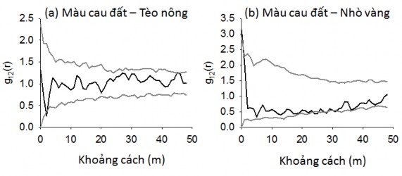 Hình 4 7 Quan hệ không gian của các loài cây rừng chiếm ưu thế ở OTC 2 được 1
