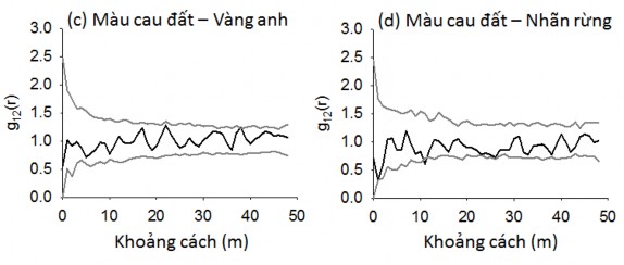 Hình 4 7 Quan hệ không gian của các loài cây rừng chiếm ưu thế ở OTC 2 được 2
