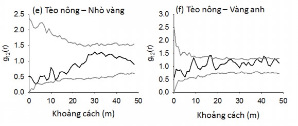 Hình 4 7 Quan hệ không gian của các loài cây rừng chiếm ưu thế ở OTC 2 được 3