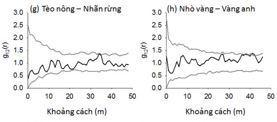 Hình 4 7 Quan hệ không gian của các loài cây rừng chiếm ưu thế ở OTC 2 được 4