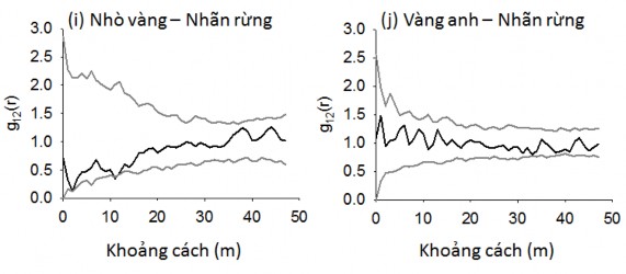 Hình 4 7 Quan hệ không gian của các loài cây rừng chiếm ưu thế ở OTC 2 được 5