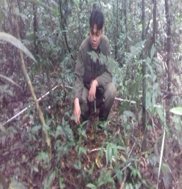 H nh 4 8 Điều tra cây tái sinh Phân bố loài Vấp theo cao độ tại khu vự rừng 1