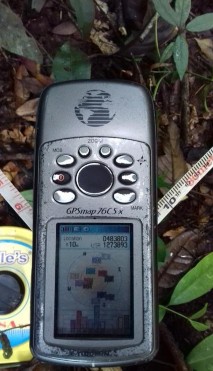 H nh 4 8 Điều tra cây tái sinh Phân bố loài Vấp theo cao độ tại khu vự rừng 2