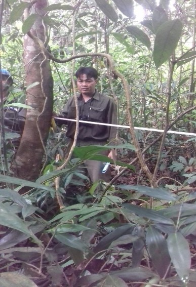 Trong điều tr rừng thường sử dụng phương pháp điều tr theo tuyến để xá 2