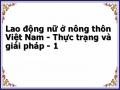 Lao động nữ ở nông thôn Việt Nam - Thực trạng và giải pháp - 1