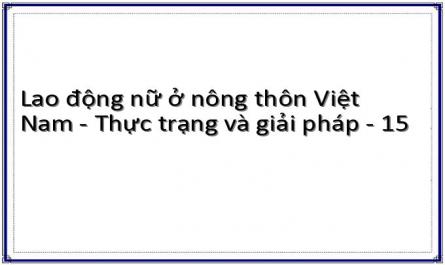 Lao động nữ ở nông thôn Việt Nam - Thực trạng và giải pháp - 15