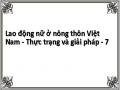 Đặc Điểm Lao Động Nữ Ở Nông Thôn Việt Nam‌