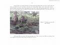 Luận văn thạc sĩ khoa học lâm nghiệp Đặc điểm lâm học loài cây Vấp Mesua ferrea L. thuộc kiểu rừng kín lá rộng thường xanh ẩm nhiệt đới tại huyện Đạ Huoai, tỉnh Lâm Đồng - 7