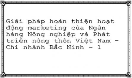 Giải pháp hoàn thiện hoạt động marketing của Ngân hàng Nông nghiệp và Phát triển nông thôn Việt Nam – Chi nhánh Bắc Ninh - 1