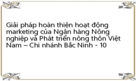 Giải pháp hoàn thiện hoạt động marketing của Ngân hàng Nông nghiệp và Phát triển nông thôn Việt Nam – Chi nhánh Bắc Ninh - 10